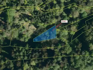 Dražba lesa, Zděchov, 481 m2