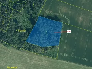 Dražba lesa, Hradiště, 3718 m2