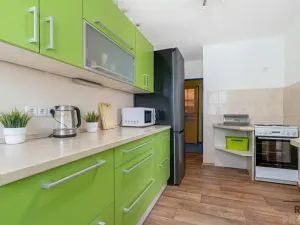 Prodej vícegeneračního domu, Plzeň, Jilmová, 200 m2