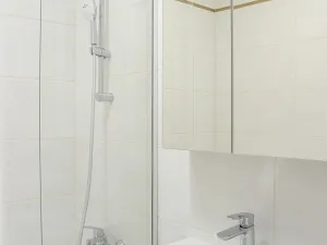 Pronájem bytu 4+kk, Praha - Vinohrady, Nad olšinami, 70 m2