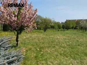 Prodej zahrady, Mikulovice, 1350 m2