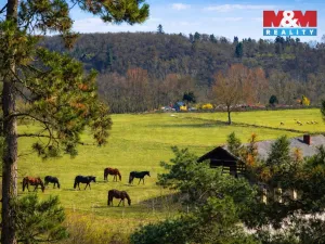 Pronájem bytu 2+kk, Praha - Hostivař, Hostivařská, 41 m2