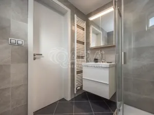 Pronájem bytu 1+kk, Praha - Chodov, Švabinského, 25 m2