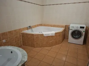 Pronájem vícegeneračního domu, Břestek, 200 m2