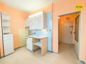 Prodej bytu 1+1, Ostrava, Dr. Martínka, 33 m2