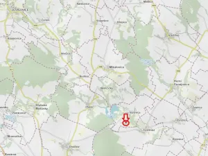 Prodej podílu lesa, Výrovice, 1459 m2