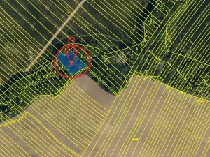 Prodej lesa, Mistřice, 1951 m2