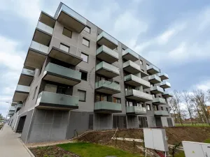 Pronájem bytu 2+kk, Praha - Prosek, Čakovická, 43 m2