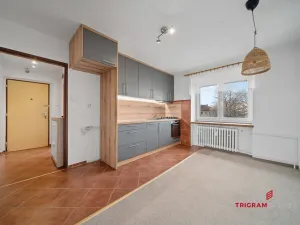 Prodej bytu 2+1, Pardubice - Zelené Předměstí, Wolkerova, 50 m2