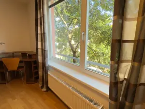 Pronájem bytu 1+kk, Brno, Vinohrady, 38 m2