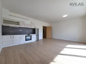 Pronájem bytu 1+kk, Benešov, 102. pluku, 38 m2