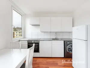 Pronájem bytu 1+kk, Praha - Karlín, Molákova, 28 m2