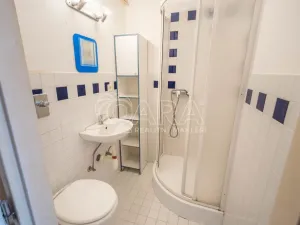 Pronájem bytu 1+kk, Praha - Michle, Magistrů, 22 m2