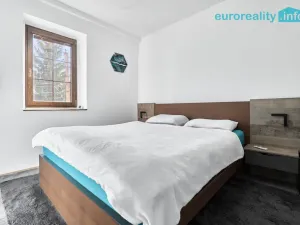 Prodej rodinného domu, Sadov - Bor, 470 m2