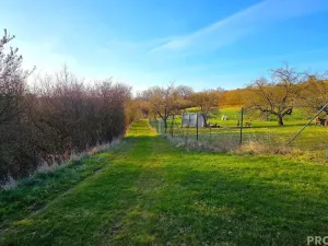 Prodej zahrady, Vyškov, 330 m2