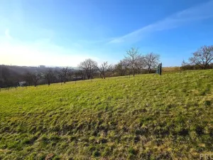 Prodej zahrady, Vyškov, 330 m2