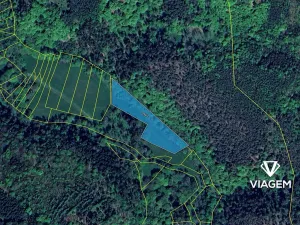 Prodej podílu pole, Chříč, 3987 m2