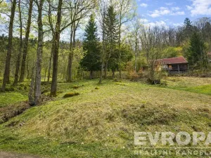 Prodej chalupy, Desná - Desná I, Výletní, 110 m2