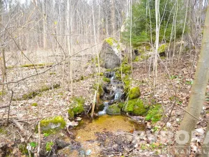 Prodej chalupy, Desná - Desná I, Výletní, 110 m2