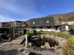 Prodej rodinného domu, Ústí nad Labem - Ústí nad Labem-centrum, Čajkovského, 250 m2