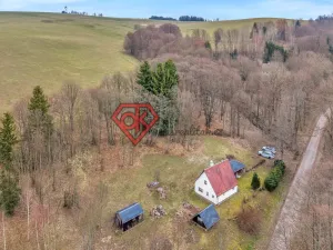 Prodej chalupy, Červená Voda - Horní Orlice, 80 m2