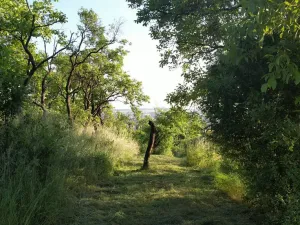 Prodej zahrady, Brno - Židenice, 1227 m2