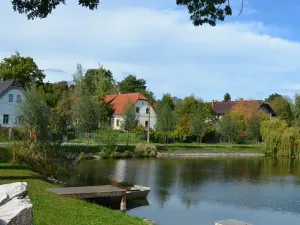 Prodej zemědělské usedlosti, Sezemice, 200 m2