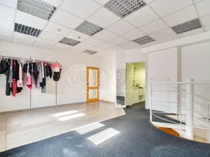 Prodej obchodního prostoru, Ostrava - Svinov, Bílovecká, 94 m2