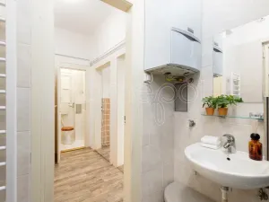 Prodej bytu 1+1, Praha - Holešovice, Jirečkova, 53 m2