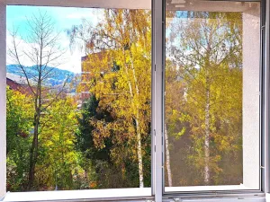 Pronájem bytu 1+1, Zlín, Zborovská, 38 m2