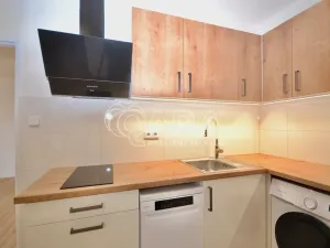 Pronájem bytu 1+1, Praha - Hloubětín, Kukelská, 43 m2