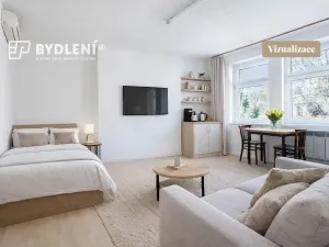 Prodej bytu 1+kk, Ústí nad Labem, Elišky Krásnohorské, 25 m2