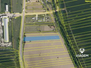 Prodej pole, Syrovín, 1291 m2