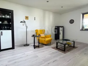 Pronájem rodinného domu, Albrechtice, Bělehradská, 217 m2