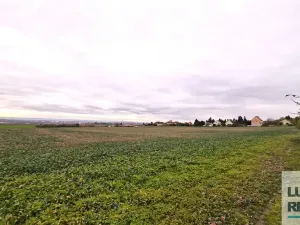 Prodej pole, Mělník, Kokořínská, 27040 m2