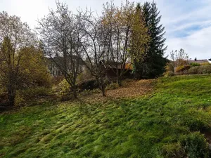 Prodej bytu 2+1, Železná Ruda, 55 m2