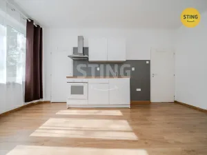 Pronájem bytu 1+kk, Ostrava, Francouzská, 21 m2