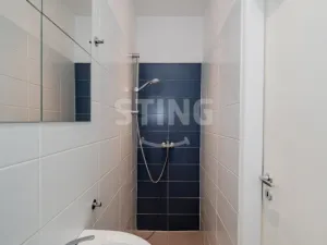 Pronájem bytu 1+kk, Ostrava, Francouzská, 21 m2