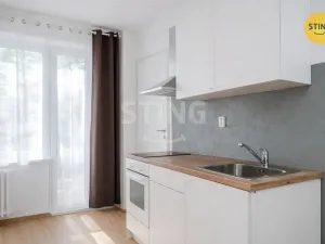 Pronájem bytu 1+kk, Ostrava, Francouzská, 24 m2