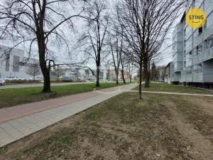 Pronájem bytu 1+kk, Ostrava, Francouzská, 24 m2
