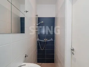 Pronájem bytu 1+kk, Ostrava, Francouzská, 21 m2