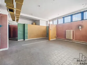 Prodej restaurace, Řečany nad Labem, 1. máje, 320 m2