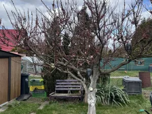 Prodej chaty, Bílina, Mládežnická, 30 m2