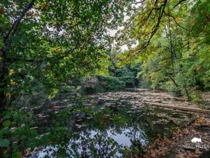 Prodej pozemku pro bydlení, Velký Chlumec, okres beroun, 1355 m2