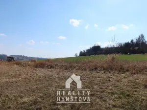 Prodej pozemku pro bydlení, Prosetín, 1256 m2