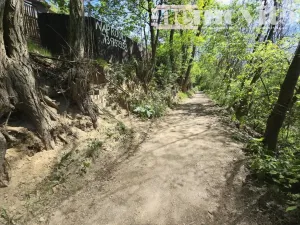 Prodej zahrady, Benátky nad Jizerou, 398 m2