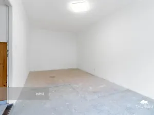 Prodej rodinného domu, Nečtiny - Čestětín, 719 m2