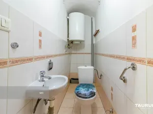 Prodej rodinného domu, Nečtiny - Čestětín, 719 m2