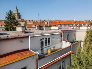 Prodej bytu 2+kk, Praha - Bubeneč, Ve struhách, 48 m2
