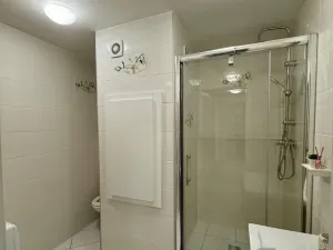 Prodej bytu 2+1, Frýdek-Místek - Frýdek, Dobrovského, 45 m2